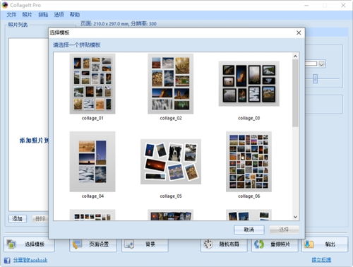 照片墻設(shè)計(jì)軟件CollageIt 輕松制作個(gè)性化拼貼畫
